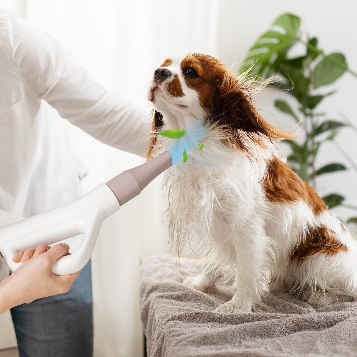 Dog Cat Hair Blower with Negative Ion Function and Adjustable Temperature view 2
