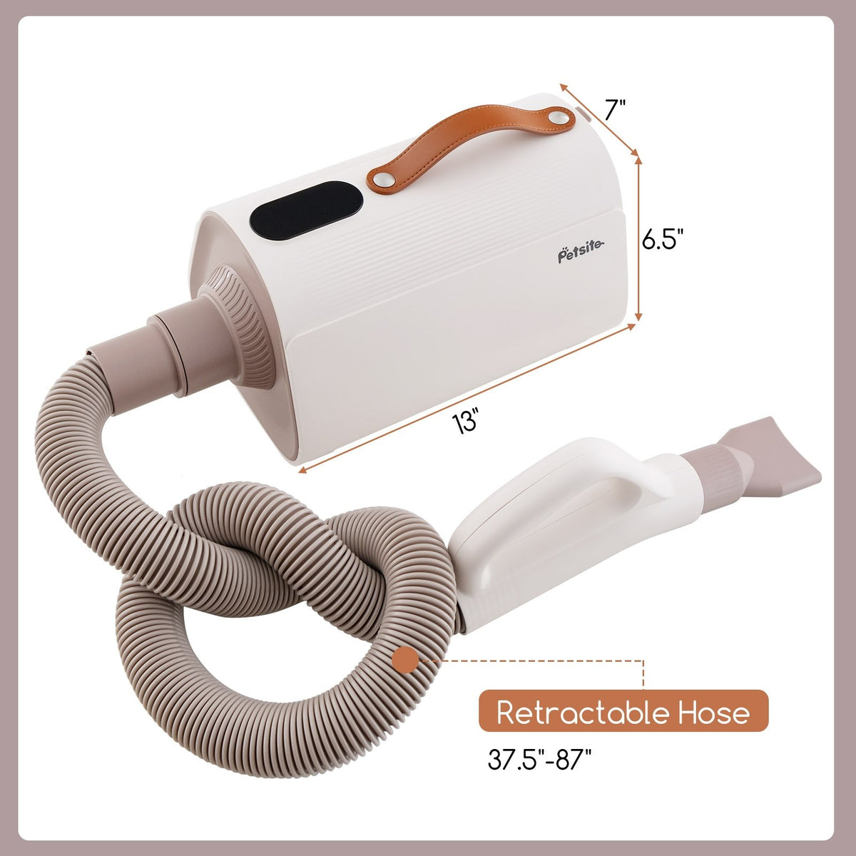 Dog Cat Hair Blower with Negative Ion Function and Adjustable Temperature view 4