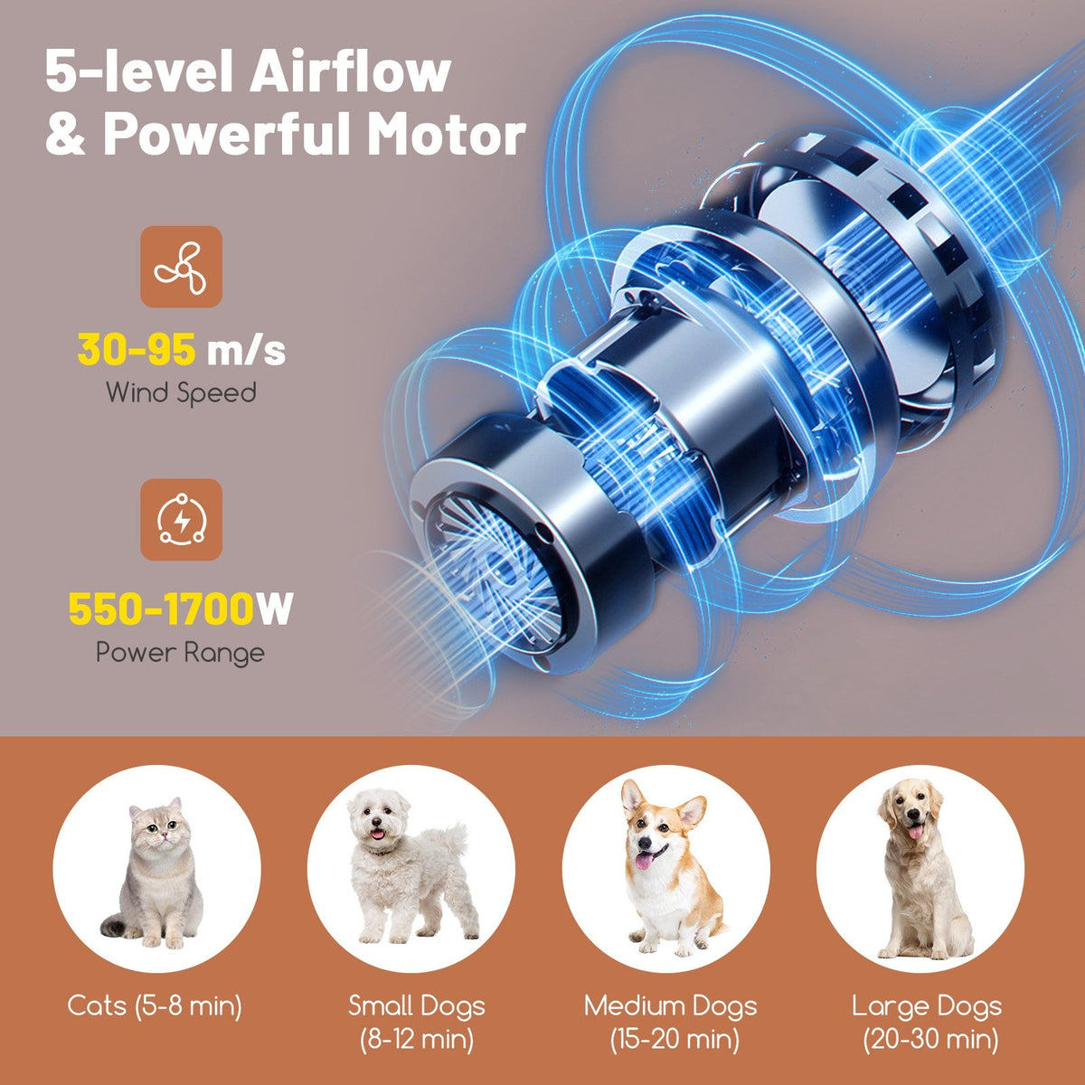 Dog Cat Hair Blower with Negative Ion Function and Adjustable Temperature view 8