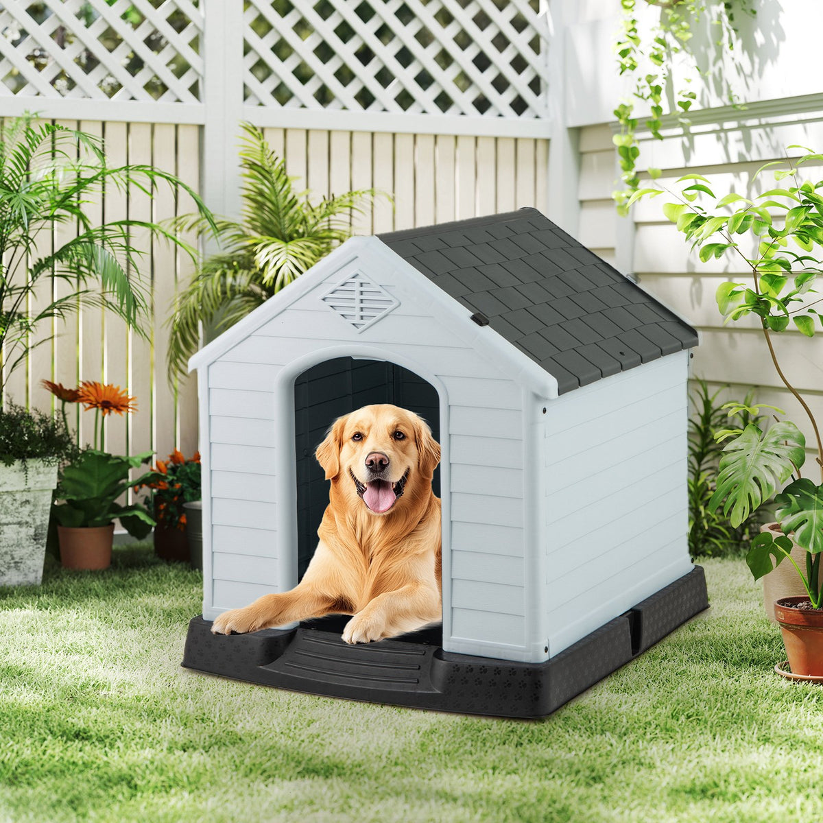 Dog House for Small Dogs Waterproof Plastic with Elevated Floor-M view 2