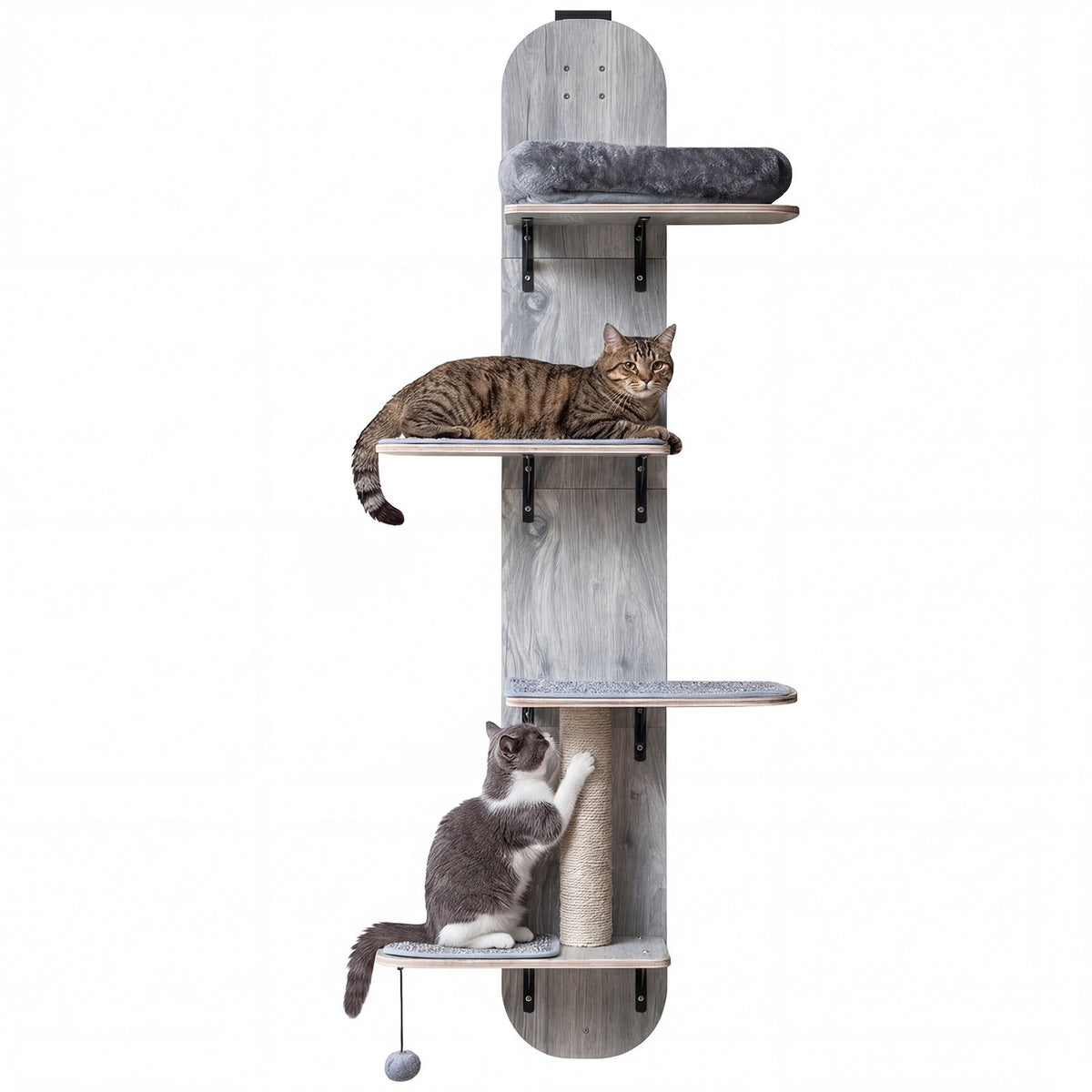 Door Hanging Cat Climber 4-level Height Adjustable with Plush Bed-Gray