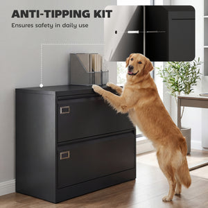 Lateral Filing Cabinet with 2 Drawers, Lockable Steel File Cabinet for A4/Letter/Legal Size Files, Black
