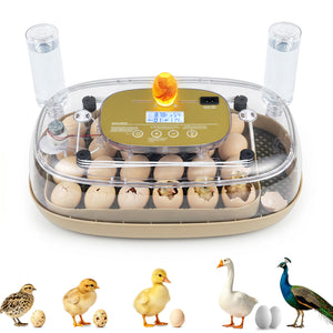 Egg Incubator with Temp and Humidity Control view 2