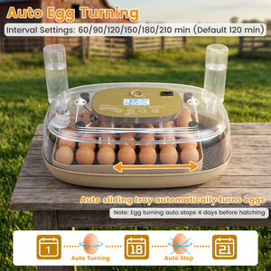 Egg Incubator with Temp and Humidity Control view 5