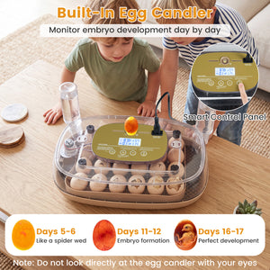 Egg Incubator with Temp and Humidity Control view 6