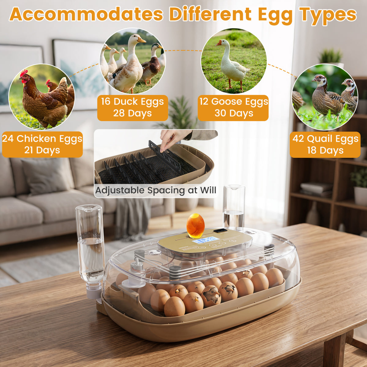 Egg Incubator with Temp and Humidity Control view 7