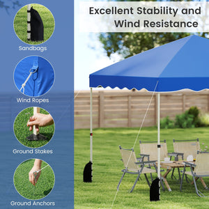 Foldable 10 X 10 Feet Pop up Canopy Tent with Wheeled Bag-Blue view 7