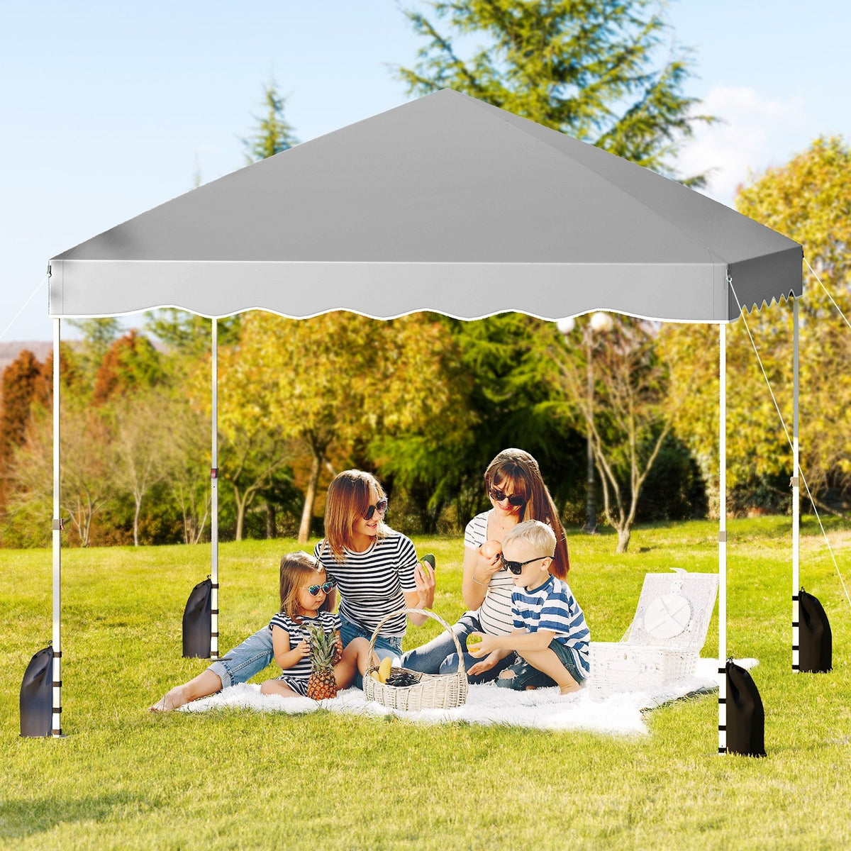 Foldable 10 X 10 Feet Pop up Canopy Tent with Wheeled Bag-Gray view 2