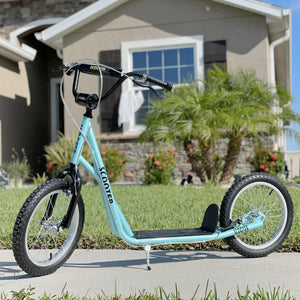 Aosom Kids Kick Scooter for 5+ Year Old, Kids Ride on Toy w/ 16'' Inflatable Wheel Dual Brakes