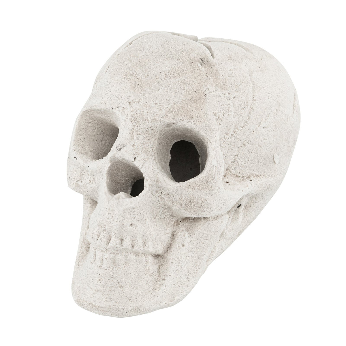 Halloween Fire Pit Skull Halloween Decoration-Beige view 4