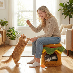 Hamburger Cat Nest with Chicken Drumstick Toy and Removable Cushion for Indoor Cats-Yellow view 6