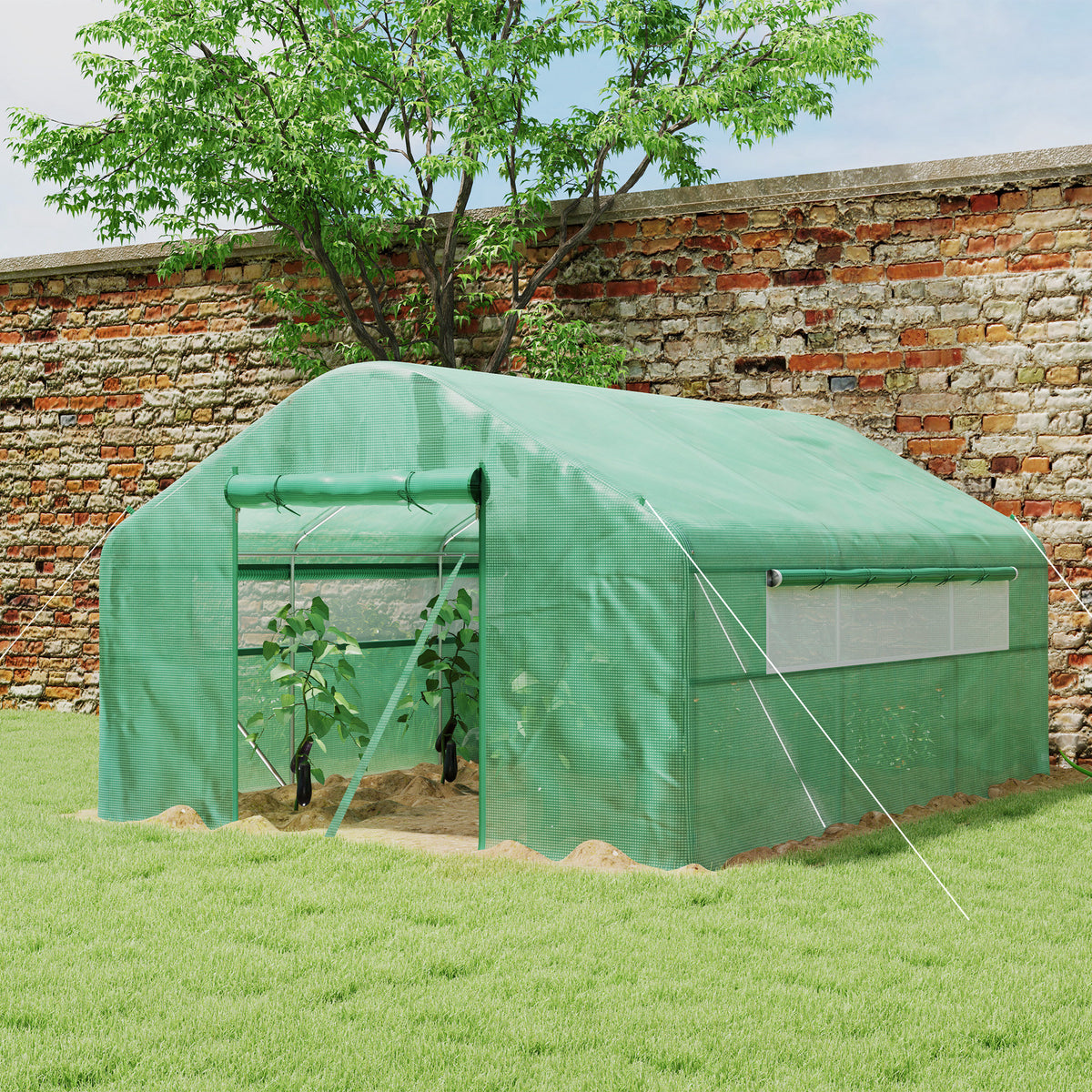 Walk-in Tunnel Greenhouse with Galvanized Steel Frame, Doors & Windows, Wind Resistant – view 7