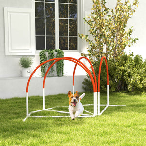 Dog Agility Kit Pet Obstacle Course Training Equipment Outdoor with Weave Poles, Carry Bag, Black – view 14