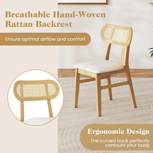Indoor Mid Century Wood Dining Chairs Set of 2, for Dining Room-White view 7
