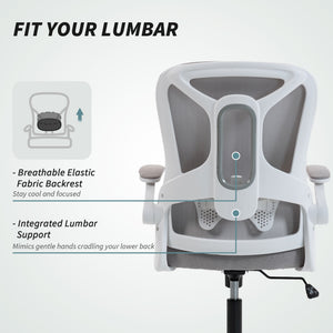 Ergonomic Office Chair, Swivel Desk Chair with Adjustable Lumbar Support and Height, Flip-up Armrests, Wheels, Grey