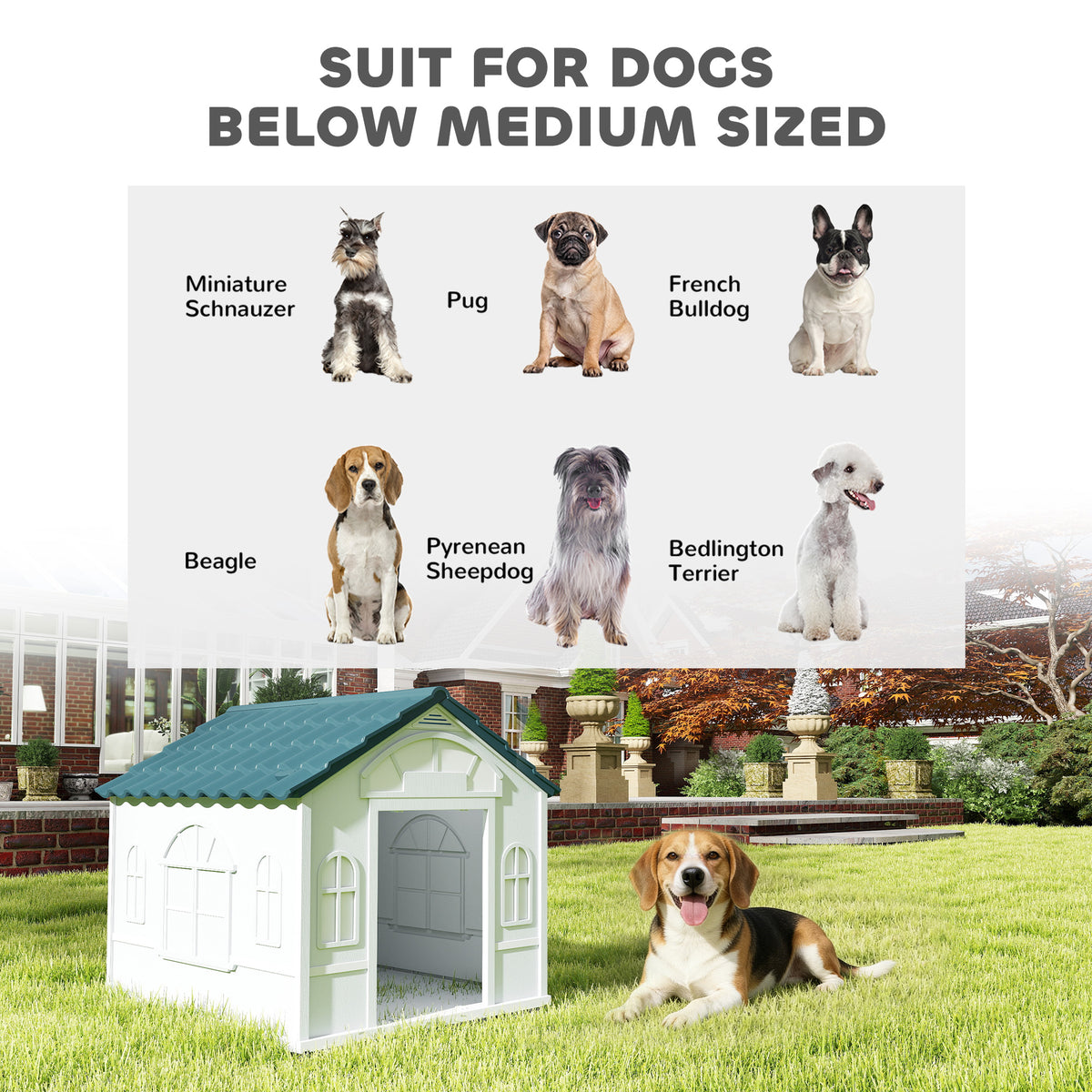 26" Plastic Dog House Outdoor with Air Vents, for Small Medium Dogs, Blue – view 6