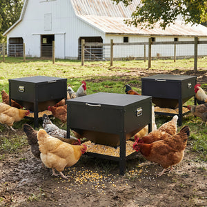 Large Capacity Chicken Feeding Box with Openable Lid-Black view 3
