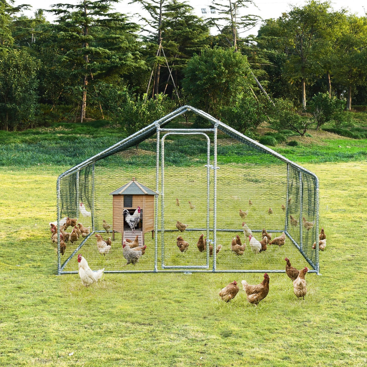 Large Walk in Shade Cage Chicken Coop with Roof Cover-M view 2