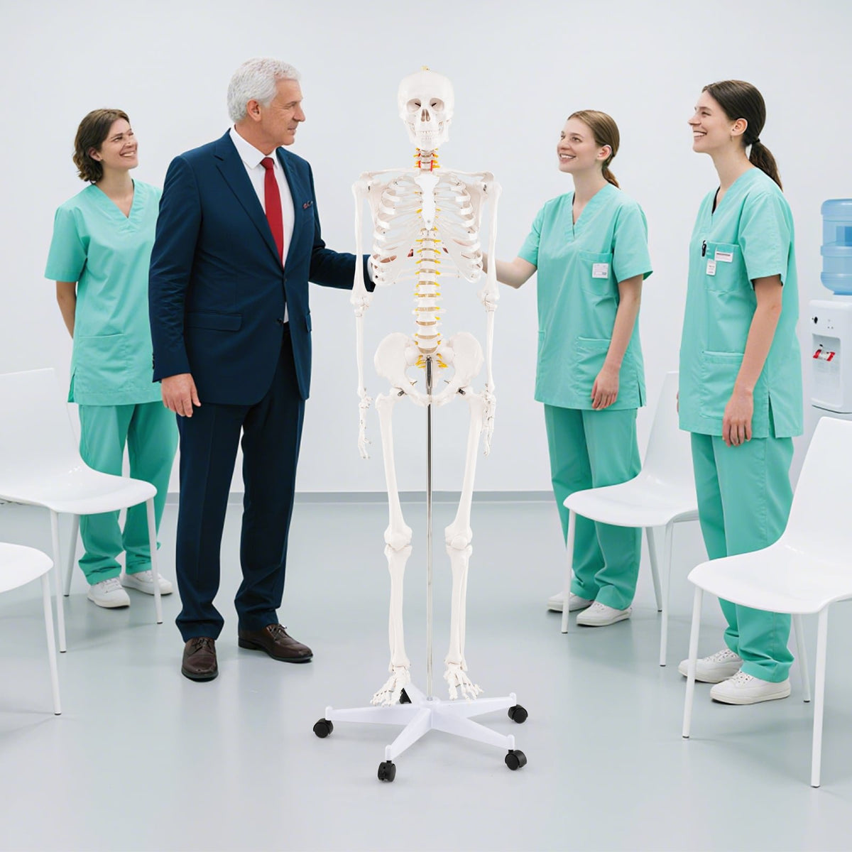 Life Size Human Skeleton Model for Anatomy Anatomical Skeleton with Nerves System view 3