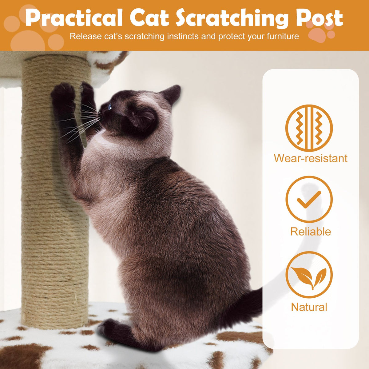 Modern Cat Tree Indoor Cat Tower with Wide Upholstered Perch and 2-Entrance Cat Condo-White view 9