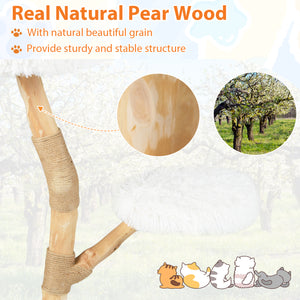 Modern Wooden Cat Tree Tower with Perch and Natural Jute Scratching Posts-White view 6