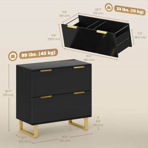 Lateral File Cabinet with 2 Drawers, Modern Filing Cabinet for Letter/A4/Legal Size Files, High Gloss Black – view 2