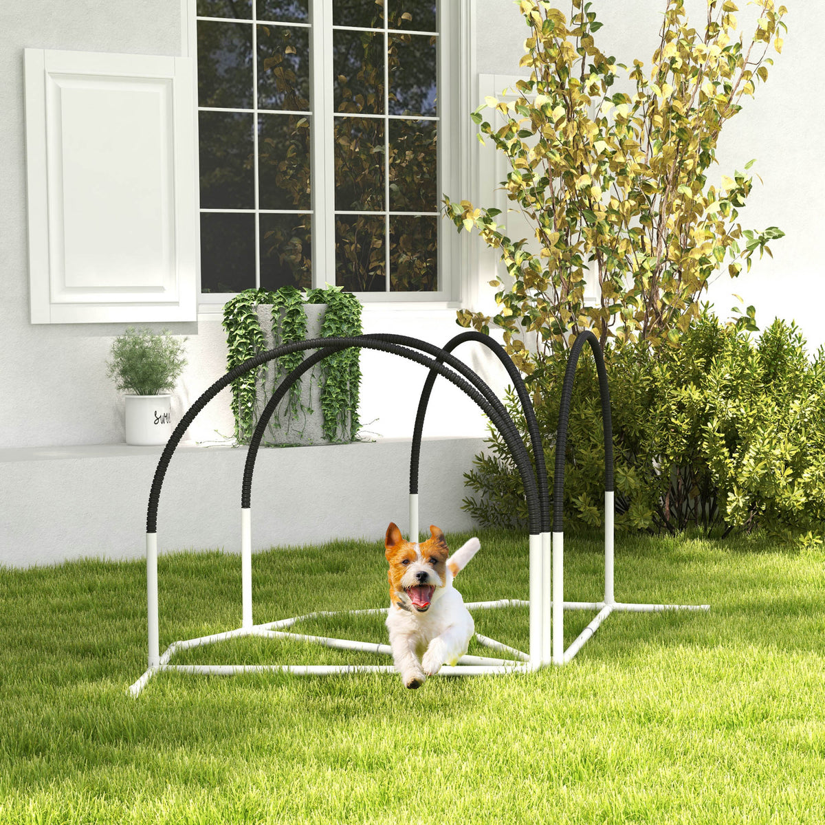Dog Agility Kit Pet Obstacle Course Training Equipment Outdoor with Weave Poles, Carry Bag, Black – view 7