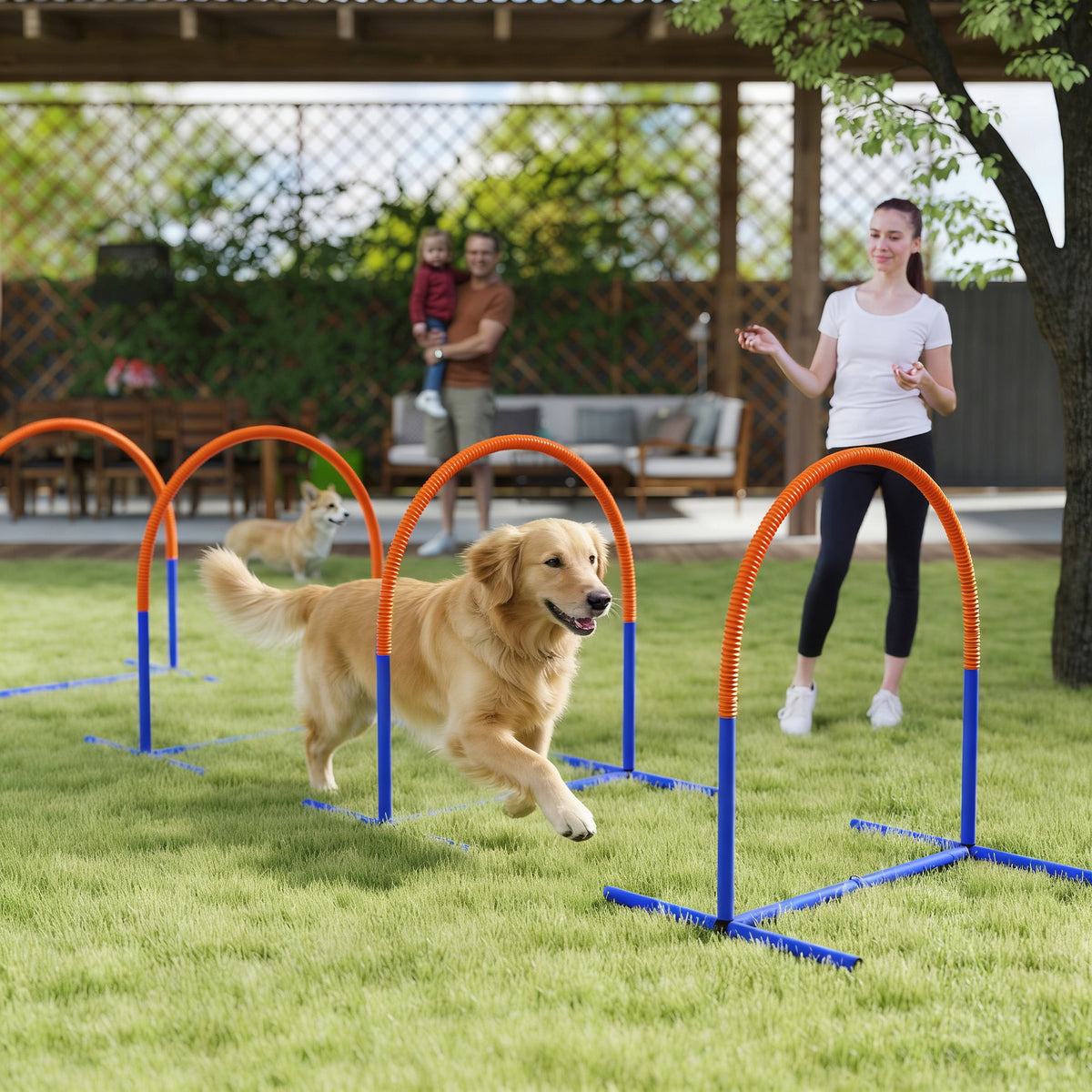 Dog Agility Training Equipment, 4 PCS Obstacle Course with Carrying Bag for Old Dogs, for Backyard, Outdoor, Blue