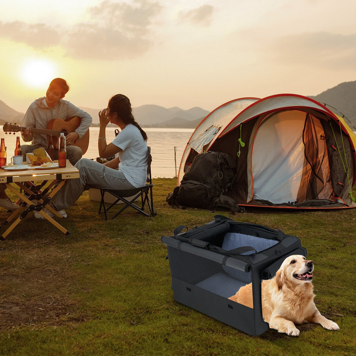 Portable Foldable Pet Carrying Bag with 2 Openings and Comfy Cushion-M view 2