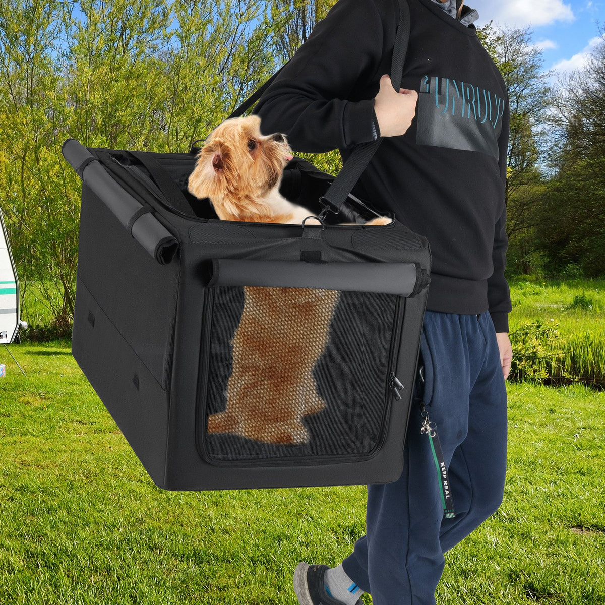 Portable Foldable Pet Carrying Bag with 2 Openings and Comfy Cushion-M view 9
