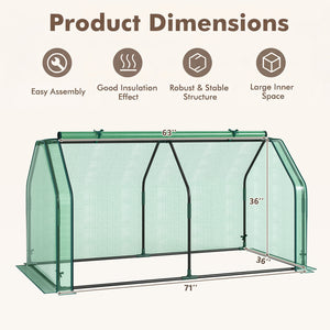 Portable Mini Greenhouse, Small Garden Greenhouse with PE Cover and Zippered Roll-up Door for Vegetables-Green view 5
