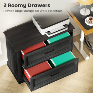 Lateral Filing Cabinet, Farmhouse File Cabinet with 2 Silent Drawers for Letter/A4/Legal Size Files, Black – view 3