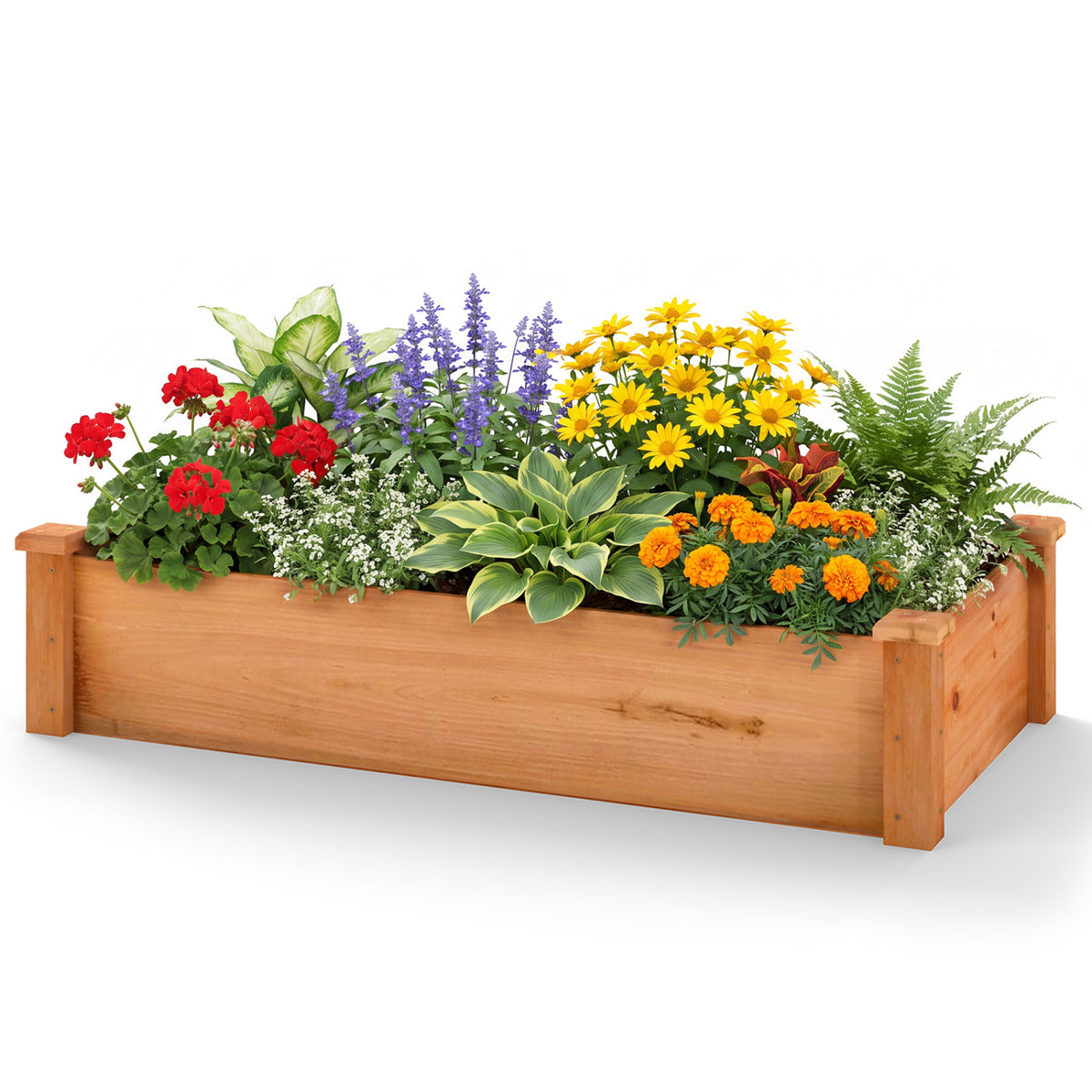 Raised Garden Bed Fir Wood Wooden Square Wood Planter Box-Orange