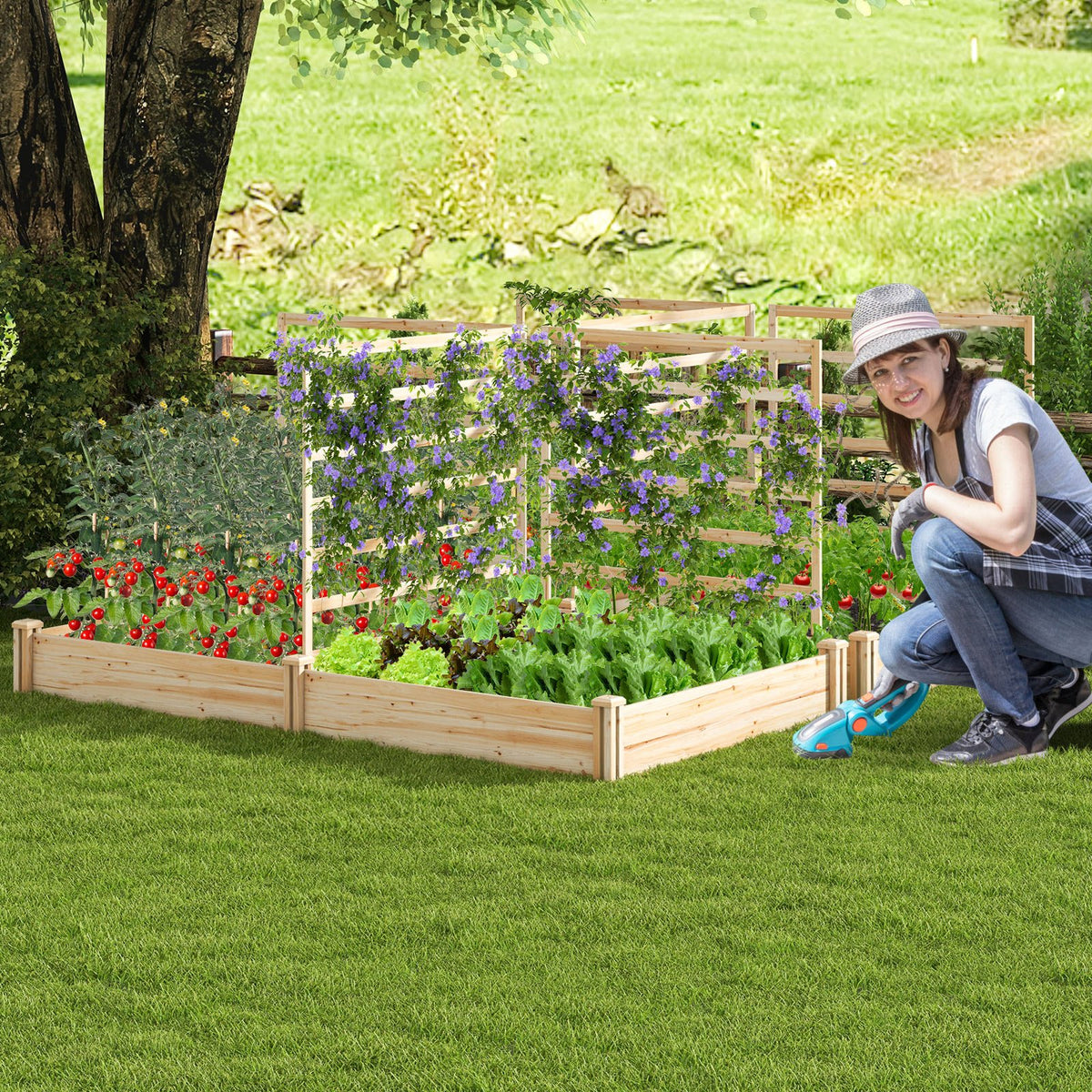 Raised Garden Bed with 2 Planter Boxes and 3 Trellis-Natural view 2