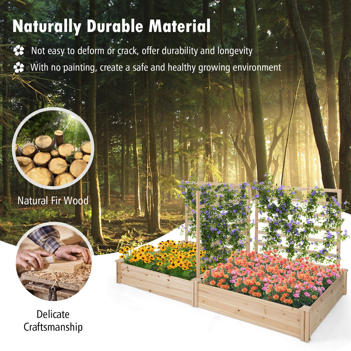 Raised Garden Bed with 2 Planter Boxes and 3 Trellis-Natural view 7
