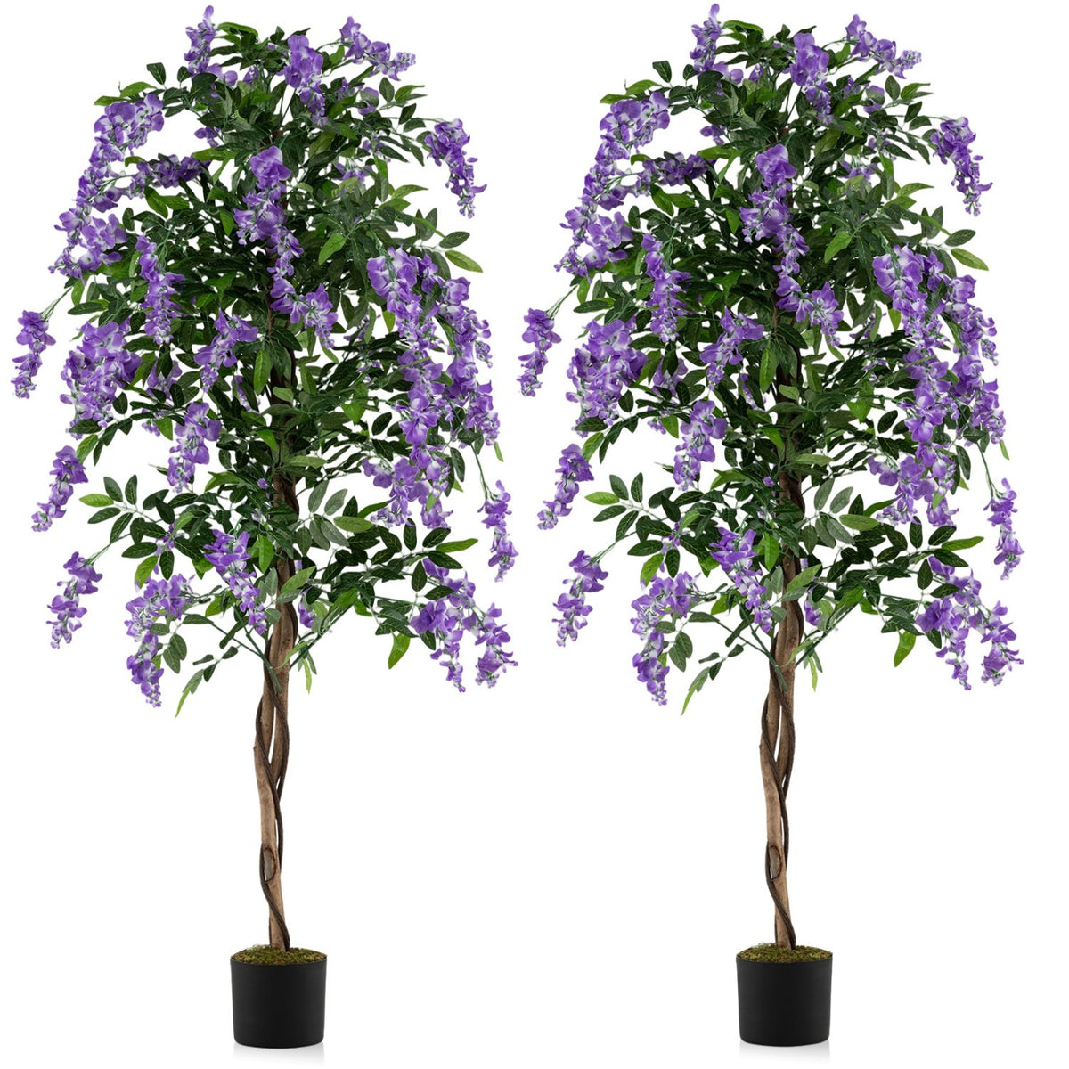 Set of 2 Fake Ficus Plant 6 FT Artificial Wisteria Tree with Natural Trunks and Purple Lifelike Flowers