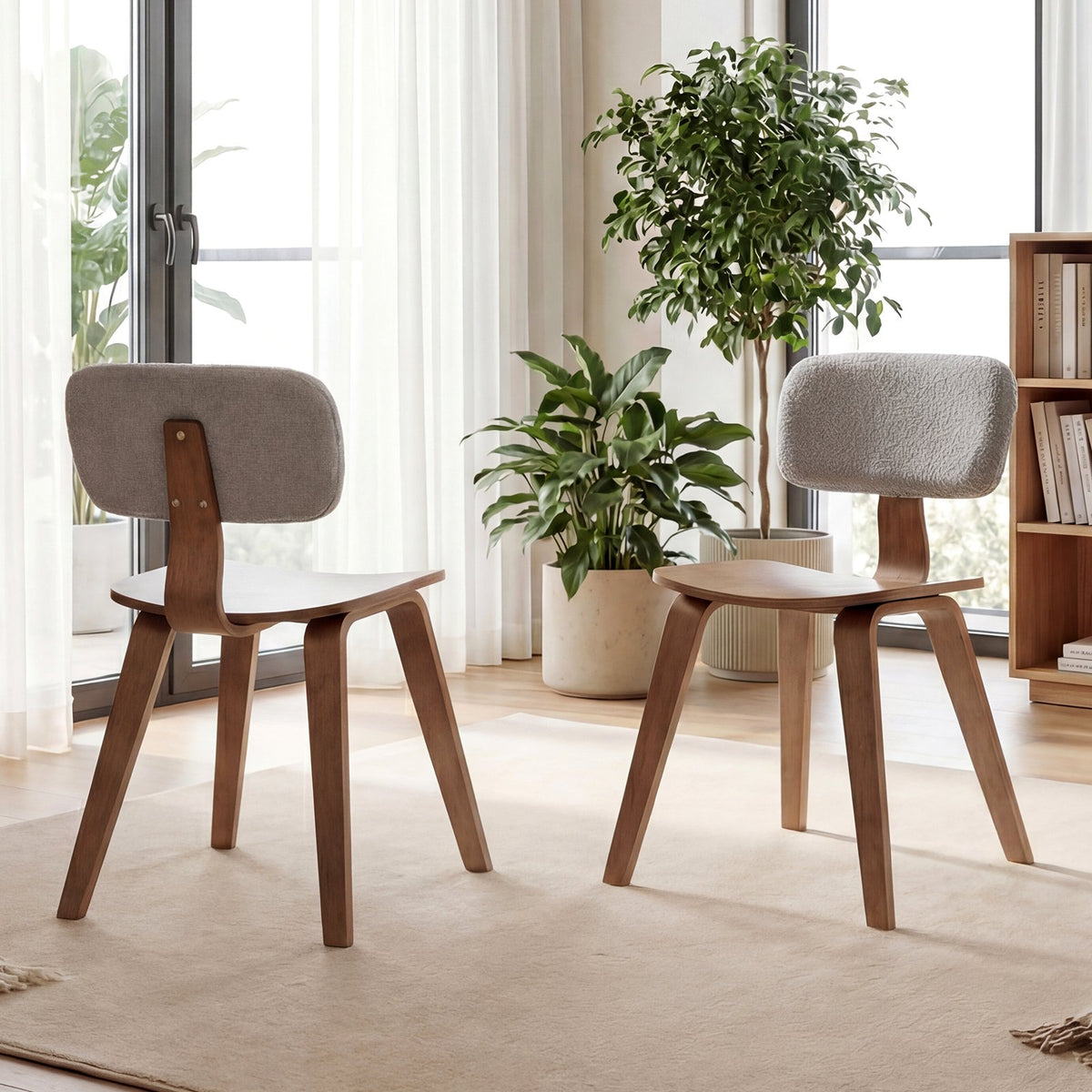Set of 2 Rubber Wood Dining Room Chairs with Teddy Velvet Padded Backrest-Walnut view 3