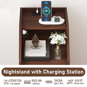 Set of 2 Side End Tables with Charging Station Sofa Couch Tables with Shelf Drawers-Walnut view 8