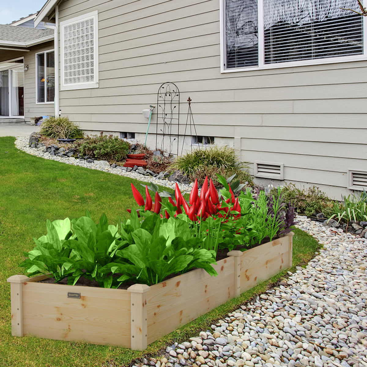 Set of 2 Wooden Vegetable Raised Garden Bed for Backyard-Natural view 2
