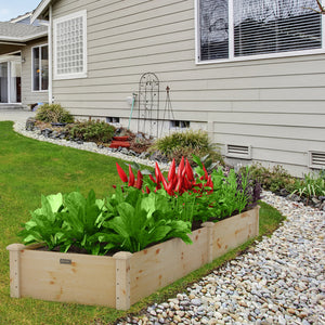 Set of 2 Wooden Vegetable Raised Garden Bed for Backyard-Natural view 2