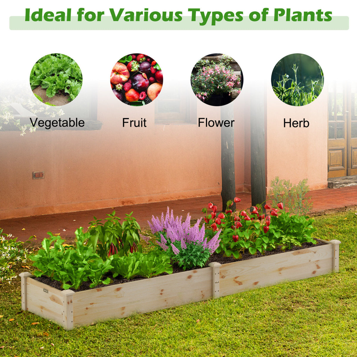 Set of 2 Wooden Vegetable Raised Garden Bed for Backyard-Natural view 5