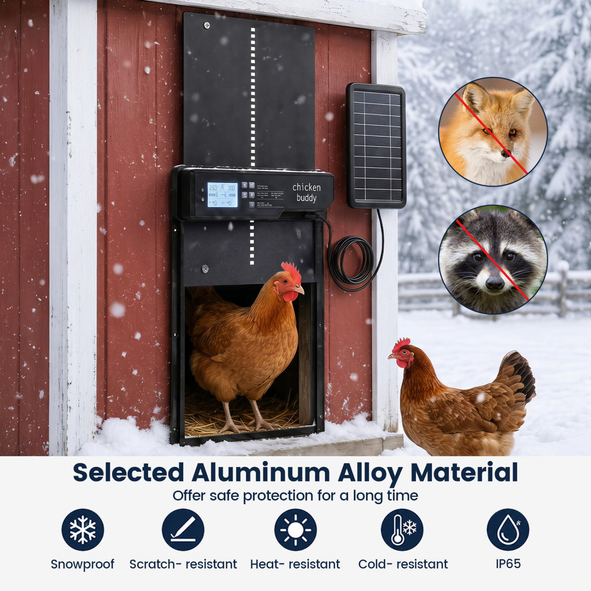 Solar Powered Automatic Chicken Coop Door view 9