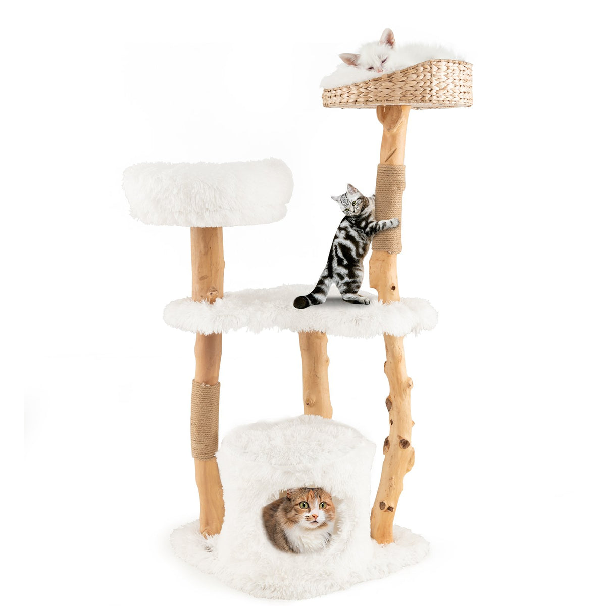 Solid Wood Cat Tower with Top Cattail Basket Cat Bed for Indoor Cats-White view 4