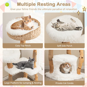 Solid Wood Cat Tower with Top Cattail Basket Cat Bed for Indoor Cats-White view 6