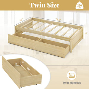 Twin Size Captain Bed with 2 Drawers and Slats Support-Natural view 4