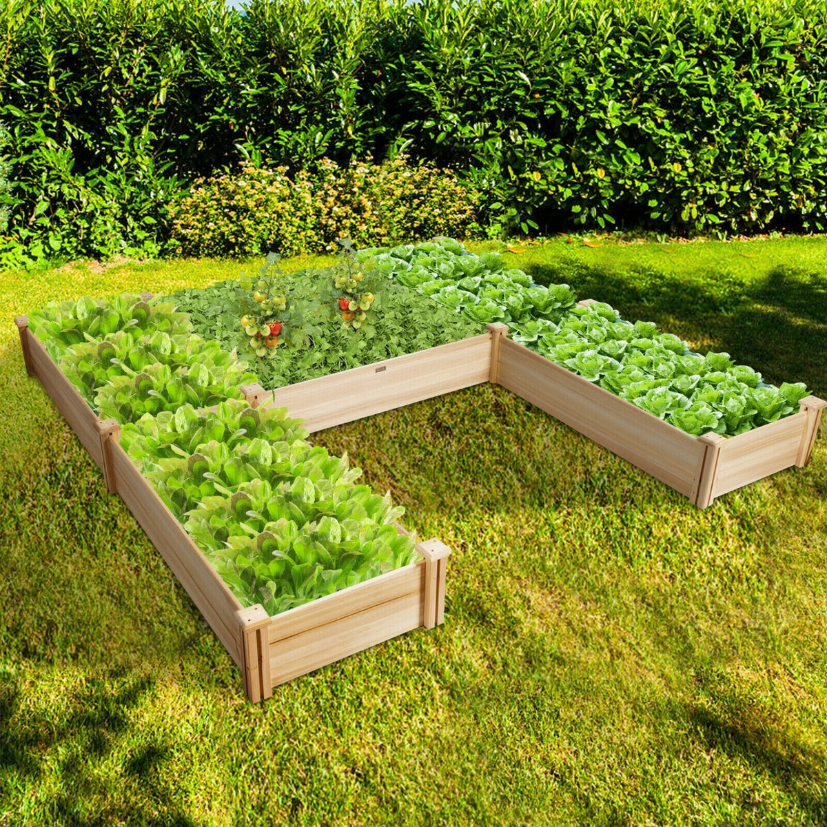 U-Shaped Wooden Garden Raised Bed for Backyard and Patio-Natural view 3