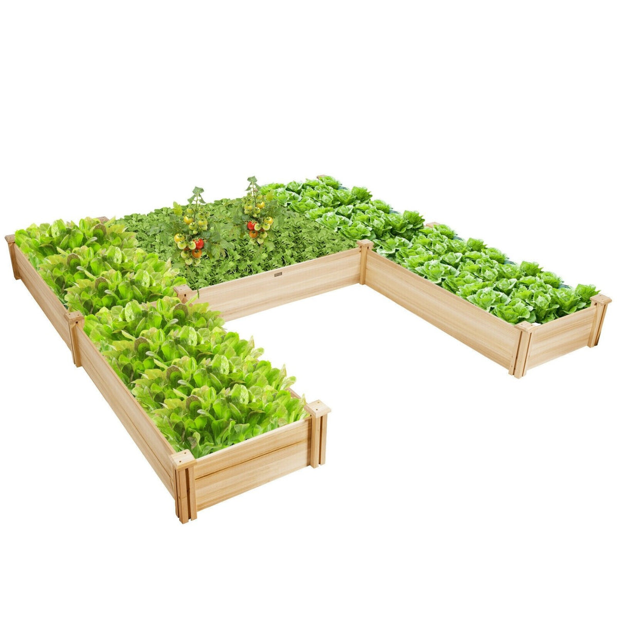 U-Shaped Wooden Garden Raised Bed for Backyard and Patio-Natural view 4