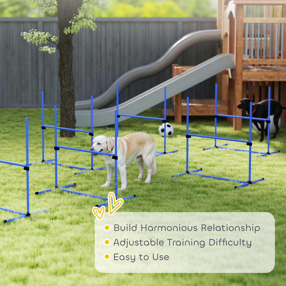 Set of 6 Dog Agility Training Equipment Adjustable Jump Bar Pet Exercise Kit with Carrying Bag (Blue)