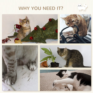 5PCs Cat Wall Shelves with Scratching Post, Ladder, Cat Bed, Jumping Platform, Perches, Toy Ball, Step