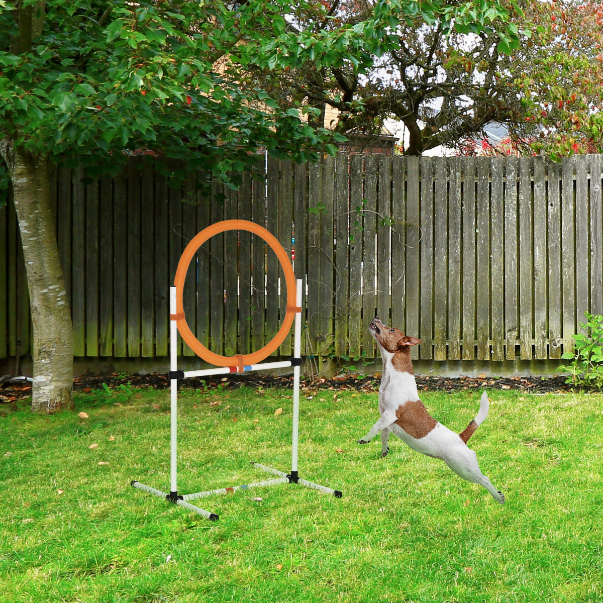 2-in-1 Dog Obstacle Training Agility Equipment Tire Jump Ring/Hurdle Bar with a Simple & Easy Setup & Storage Bag